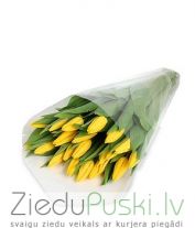 Pavasara pušķis nr 29: Весенний букет 29: Spring flower bouquet 29. gab. 41.00 €