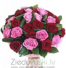 Sarkanas un rozā rozes: Красные и  Розовые розы: Red and pink roses. шт. 75.00 €