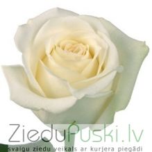 Garas baltas rozes: Длинные белые розы. cnt. 3.80 €